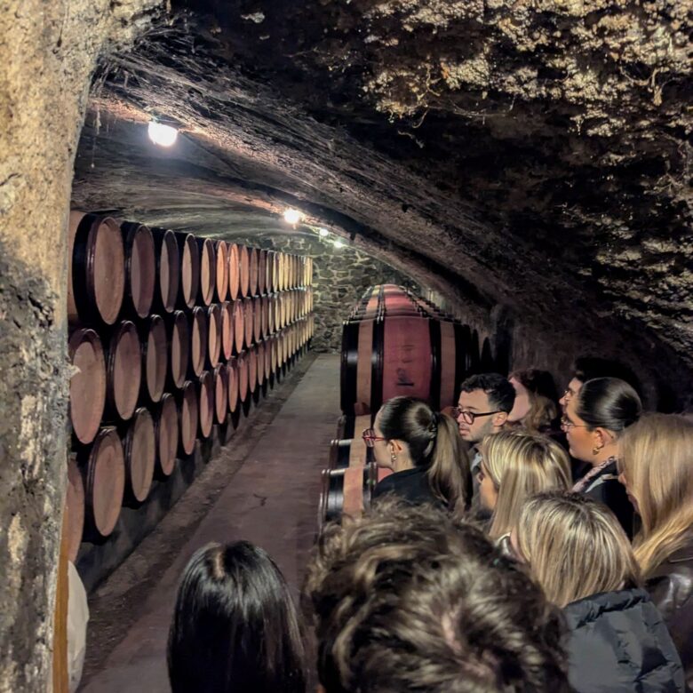 bachelor-luxury-business-visite-vignoble-guigal