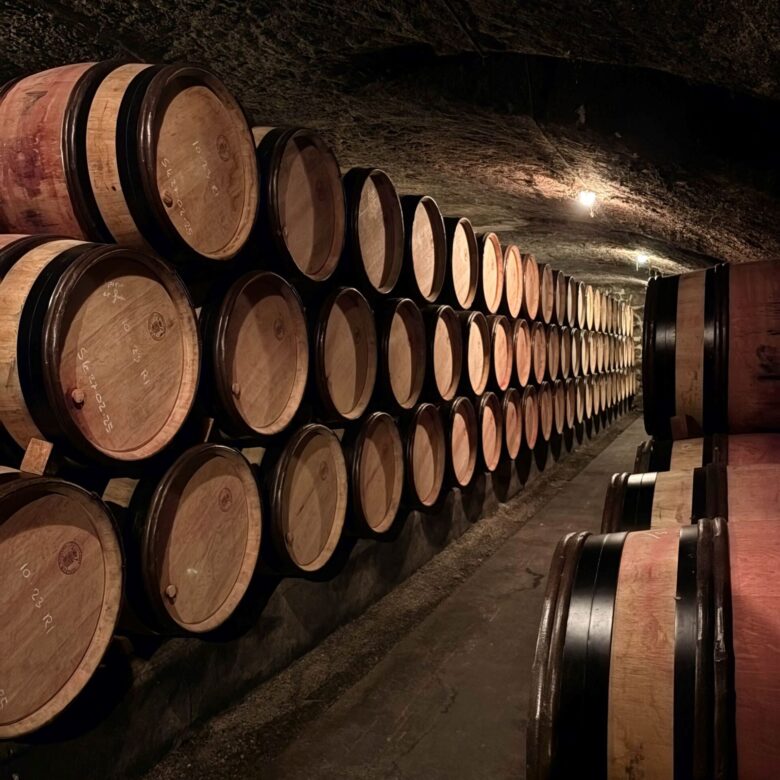 immersion-luxe-domaine-guigal-eklya